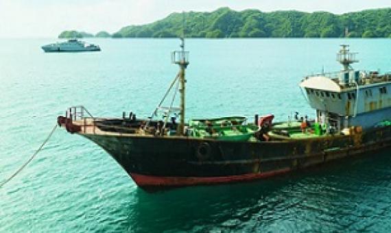 Chinese poachers barred from returning to Palau. Credit - https://islandtimes.org/