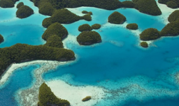 Rock Islands, Palau. Photo credit - Stuart Chape