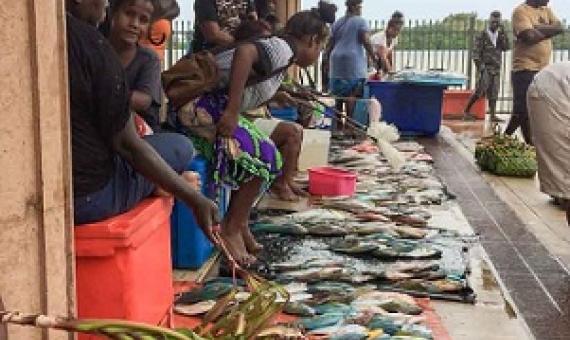 Solomons government commits to sustainable tuna with help of citizens. Credit - FFA