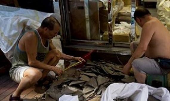 Shark fins being sorted outside a shop in Hong Kong. Image by OceansAsia.