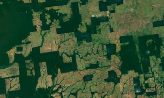 Google Earth images showing forest fragments in a deforested landscape in Rio Omerê, Rondônia, Brazil.