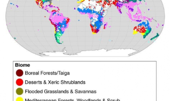 Overview of the terrestrial protected areas investigated in the new study. Credit: Nature Communications (2019)