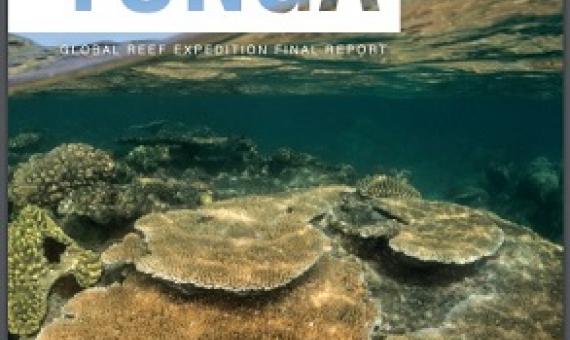 Tonga coral reef survey report