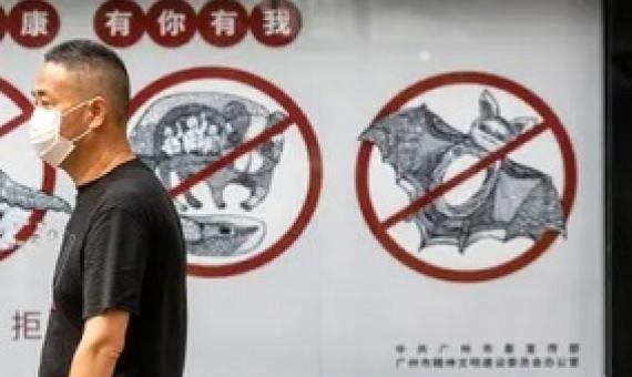 A man walks past a poster warning people in Guangdong province, China, that consuming wildlife is illegal. Photograph: Alex Plavevski/EPA