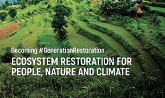 Launching the UN Decade on Ecosystem Restoration, a new UNEP/FAO report says the world must deliver on existing commitments to restore at least 1 billion degraded hectares of land - an area comparable to China - in the next decade and add similar commitments for oceans. The report documents the urgent need for restoration, the financial investment required, and the potential returns for people and nature. Credit: UNEP/FAO