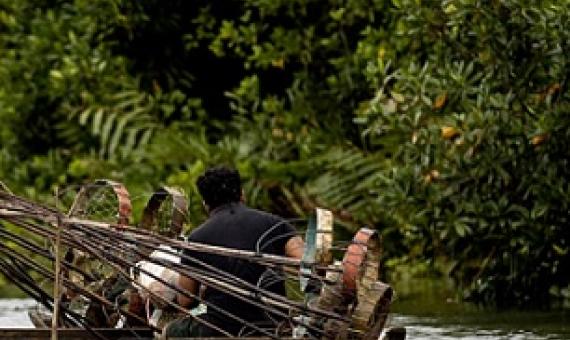 A fisherman on his canoe laden with fishing equipment at the Vailoa mangrove area on Thursday. Credit - Vaitogi A. Matafeo