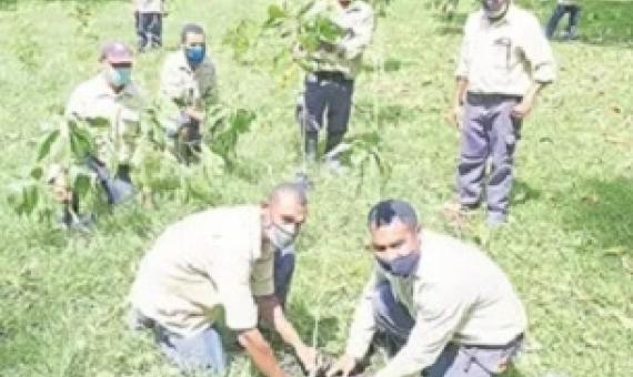 Port Moresby Nature Park grounds team commemorating the International Day for Biological Diversity by planting trees around the park. – Picture supplied