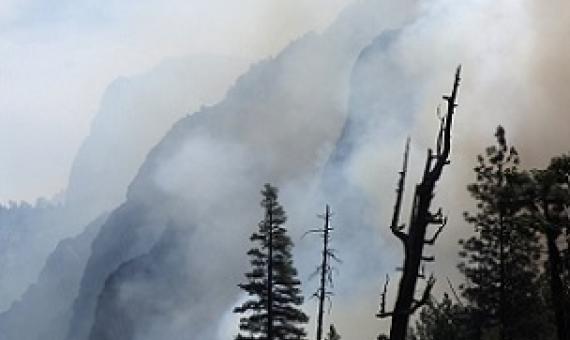 In this June 11, 2019, file photo, canyon walls are shrouded with smoke from a prescribed burn in Kings Canyon National Park, Calif. Ten of the world's most treasured forests and nature reserves, including those in Yosemite National Park in the United States and Sumatra's tropical rainforest in Indonesia, have gone from being net consumers of heat-trapping carbon dioxide in the atmosphere to net generators of it, a new U.N.-backed report shows. The first of its kind study by the International Union for Cons