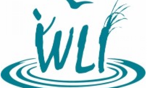 WLI logo