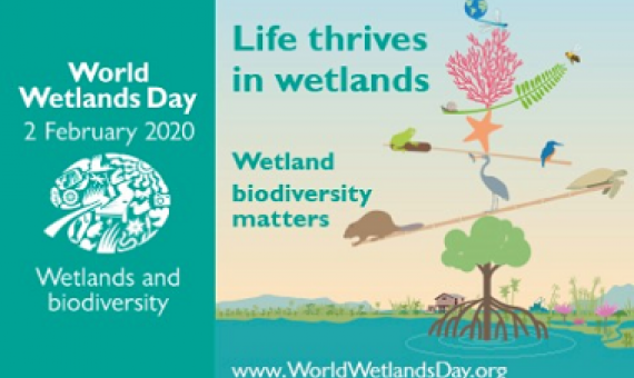 World Wetlands Day promotional flyer. source - www.ramsar.org
