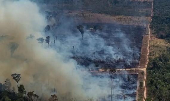 Forest fires in the Amazon occured on an unprecedented scale in 2019. Photograph: Victor Moriyama/AFP/Getty Images
