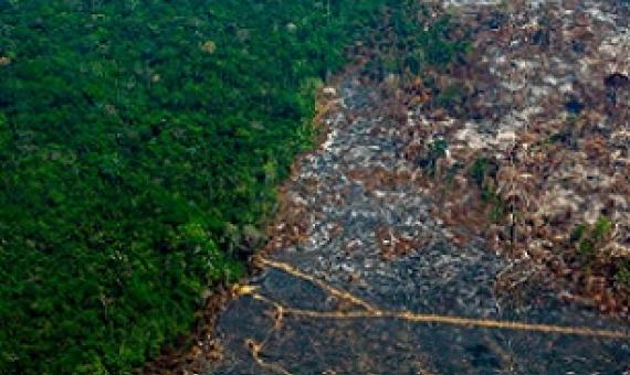 Aerial view of deforestation in Nascentes da Serra do Cachimbo Biological Reserve in Brazil’s Amazon basin in August 2019. Photograph: João Laet/AFP/Getty Images