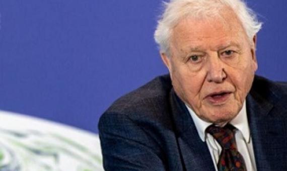 FILE PHOTO: David Attenborough speaks during a conference about the UK-hosted COP26 UN Climate Summit, at the Science Museum in London, Britain February 4, 2020. Chris J Ratcliffe/Pool via REUTERS/File Photo