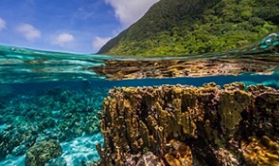 coral reefs, American Samoa. Credit - Shaun Wolfe