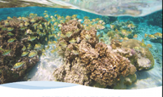 Status and Trends of Coral Reefs of the Pacific. Credit - ICRI