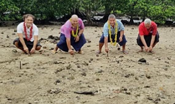 A total of 3000 mangrove seedlings were planted on Thursday at Siufaga Falelatai (Photo: Supplied)