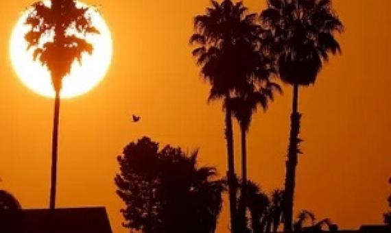 The sun rises over a neighborhood in Encinitas, California, amid a heatwave last year. Photograph: Mike Blake/Reuters