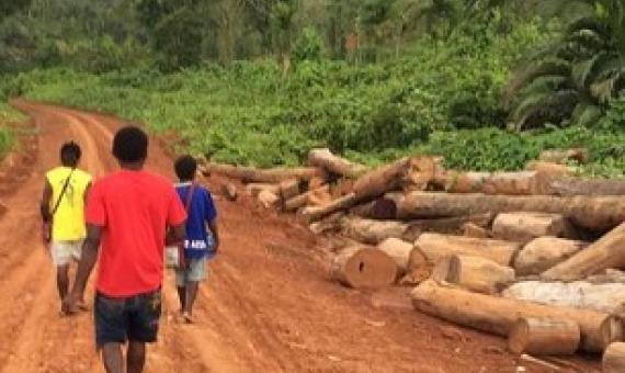 Landowners walking along a logging road in an illegally logged forest, Metamin area, New Hanover, PNG. Photo: Global Witness Media Hub