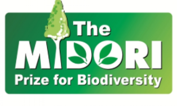 Midori Prize logo