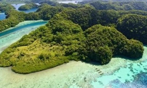 Ncherchelngael Island, Palau. photo - belau guardians at change.com website