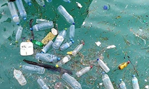 plastic pollution in the ocean. Credit - Nicki Holmyard