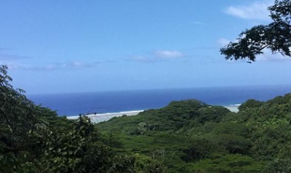 Takitumu Conservation Areas, Rarotonga. Cook Islands. Credit - National Environment Service