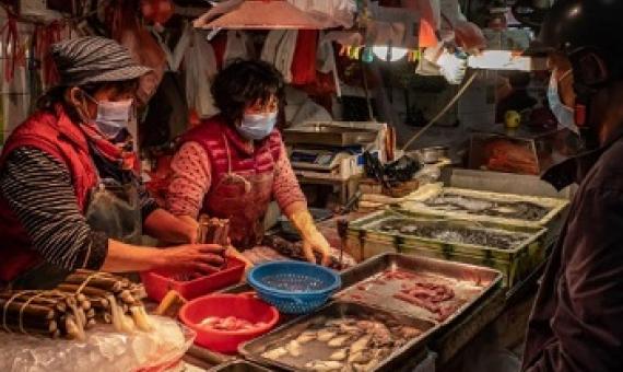 Wet markets, like this one in Macau, are found throughout Asia and sell fresh vegetables, fruit, seafood, and meat. Although most wet markets don’t sell wildlife, the terms “wet market” and “wildlife market” are often conflated. PHOTOGRAPH BY ANTHONY KWAN, GETTY