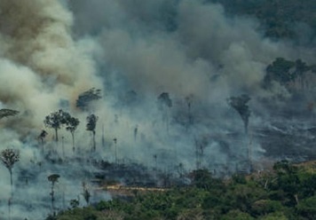 tropical forests carbon sources. photo - mongabay.com
