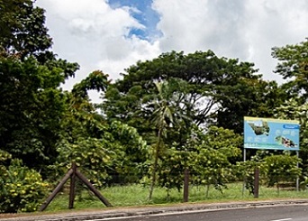 Tuanaimato nature reserve, Samoa. Source - www.samoaobserver.ws