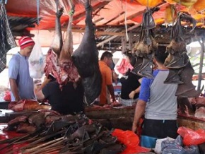 Dead bats for sale hang in an Indonesian market. Credit: UC Davis