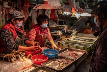 Wet markets, like this one in Macau, are found throughout Asia and sell fresh vegetables, fruit, seafood, and meat. Although most wet markets don’t sell wildlife, the terms “wet market” and “wildlife market” are often conflated. PHOTOGRAPH BY ANTHONY KWAN, GETTY